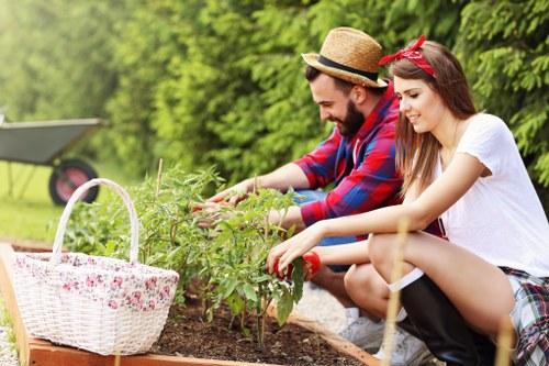 Gardeners in Heston working on a well-kept residential garden