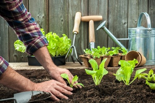 Transparent pricing for Gardeners Heston service
