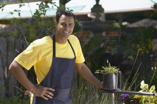 Garden maintenance in Heston with a tidy lawn and trimmed hedges