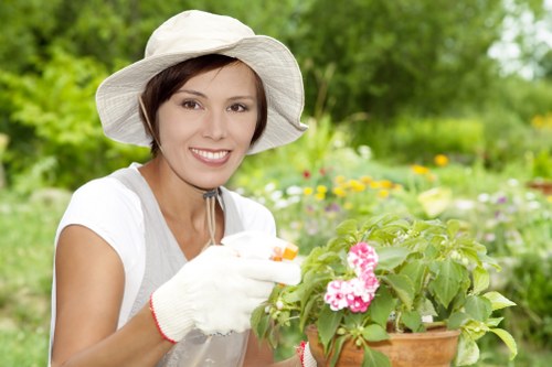 Seasonal garden care in Heston for a healthy outdoor space