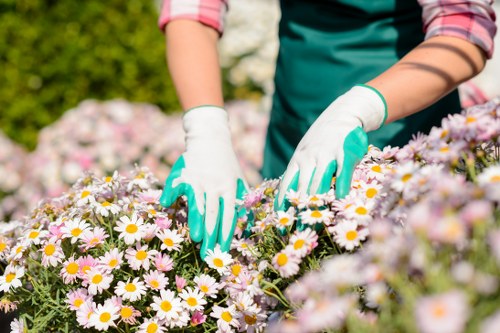 Seasonal lawn care in Heston with gardening tools and green grass