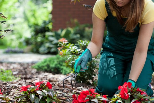 Professional handling of a service complaint