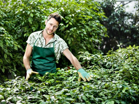 Local Heston garden maintenance with trimmed borders