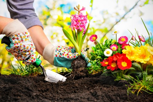 Removal of garden waste and debris in Heston