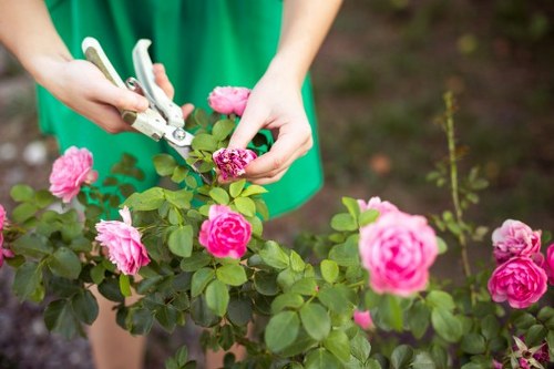 Professional garden maintenance and planting care in Heston