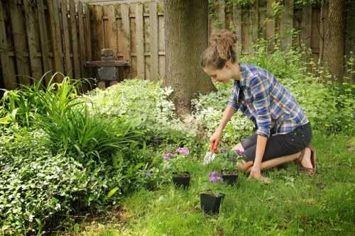 Professional gardeners in Heston working on lawn care