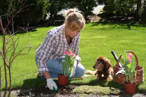 Seasonal garden maintenance tasks in Heston including pruning and weeding