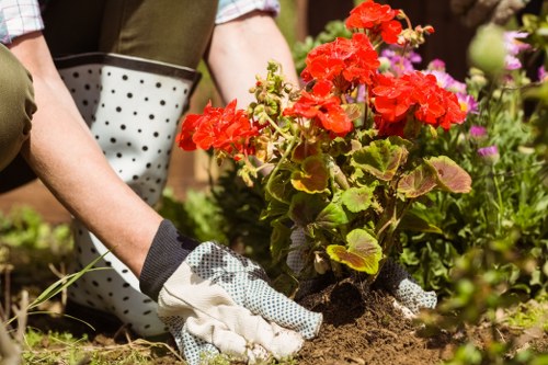 Inclusive gardening information for the Heston area