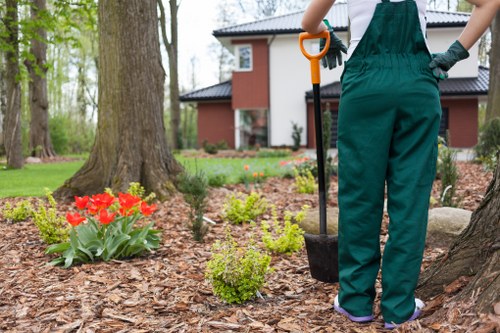 Tree pruning and canopy care in Heston