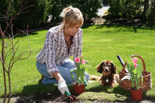 Front garden design in Heston with structured greenery