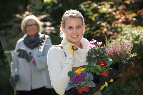 Professional gardening services in Heston with hedge trimming and lawn care
