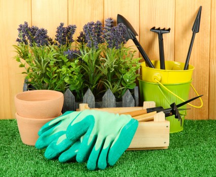 Tree removal and stump grinding service in Heston