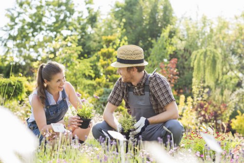 Ongoing commitment to ethical gardening operations
